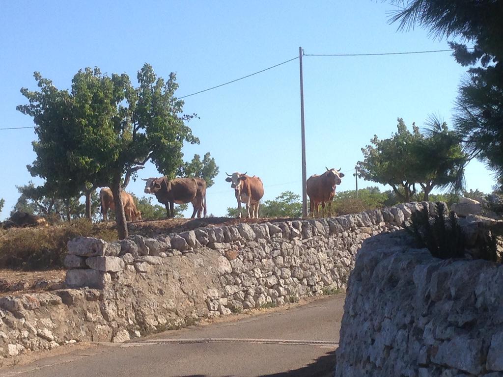 Trullo Picchiagiuda Villa Ostuni Luaran gambar